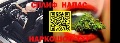 крисы Коммунар