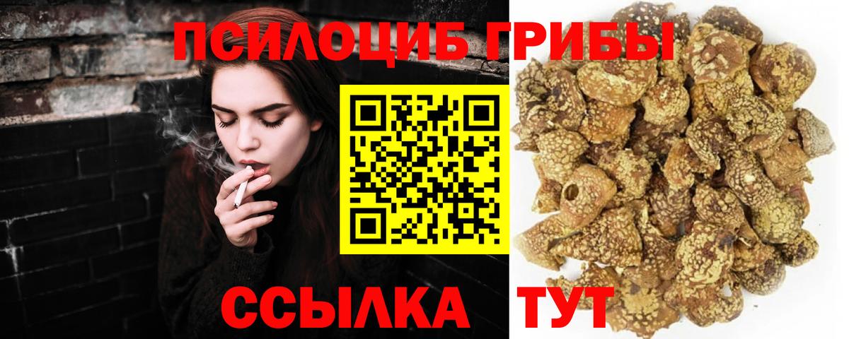 закладки  Псилоцибиновые грибы ЛСД  Вход с VPN  Кашира 